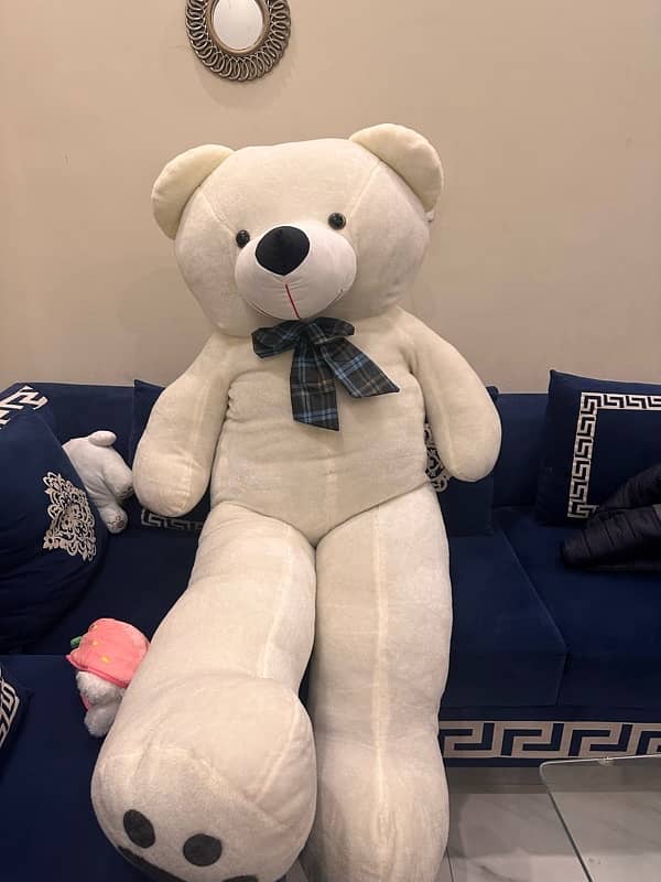 new  teddy bear 5.5 height exellent condition 4