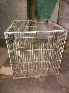 parrot of cage