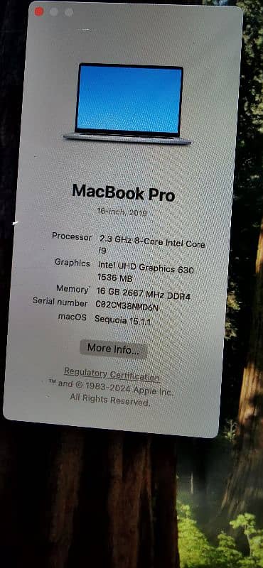 2019/i9/1tb/16gb/4gb/grapic/16"pro 5