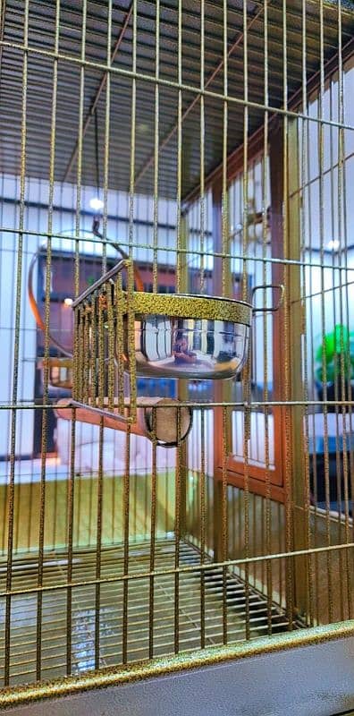 Cage For Birds / African Grey / Macaw | Custom Cages Also Available 10