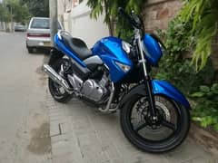 Suzuki inazuma 250 mint condition con 0.3. 1.1. 2.3. 4.1. 9.3. 8 call watsa