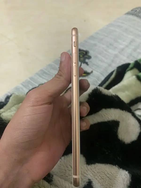 iPhone 8 Plus pta 2