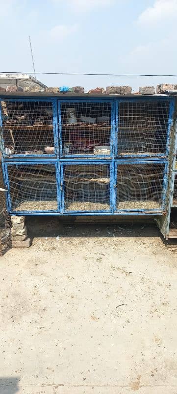 cage 6 portion Available size 2 fut khana hai lambai 6 fit unchai 4fut 0