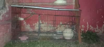 Used Cages for sale Urgent