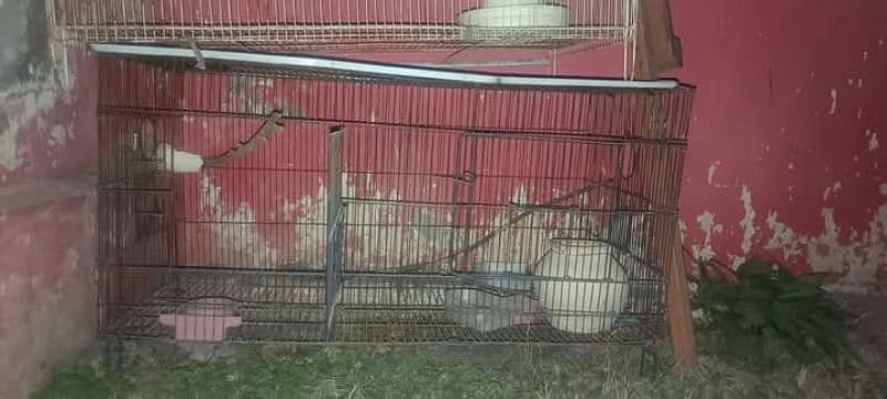 Used Cages for sale Urgent 0