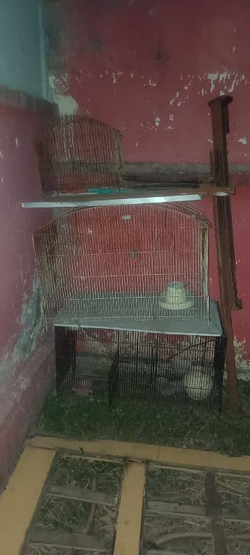 Used Cages for sale Urgent 1