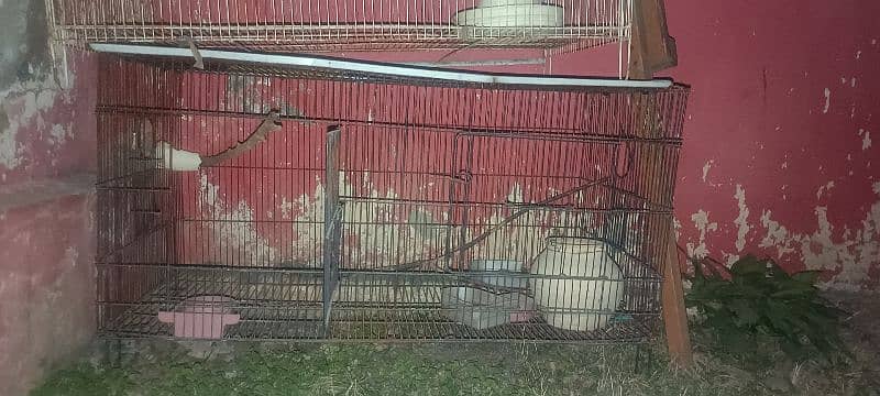 Used Cages for sale Urgent 2