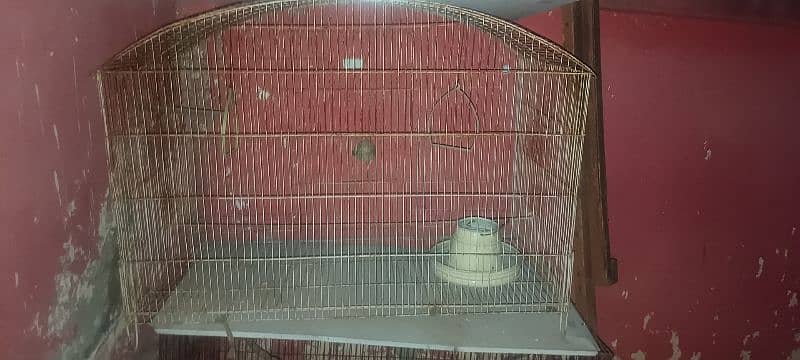 Used Cages for sale Urgent 3