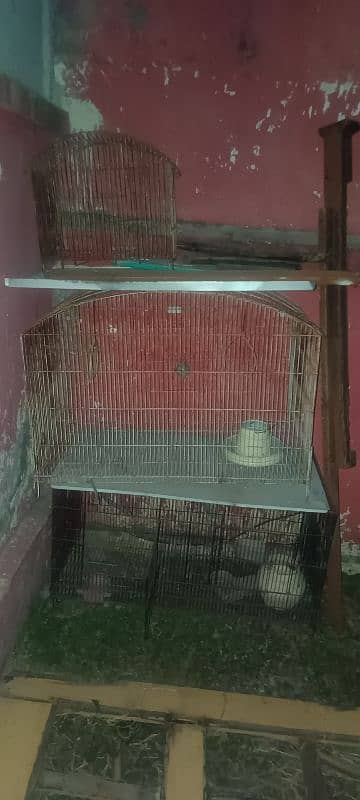 Used Cages for sale Urgent 5