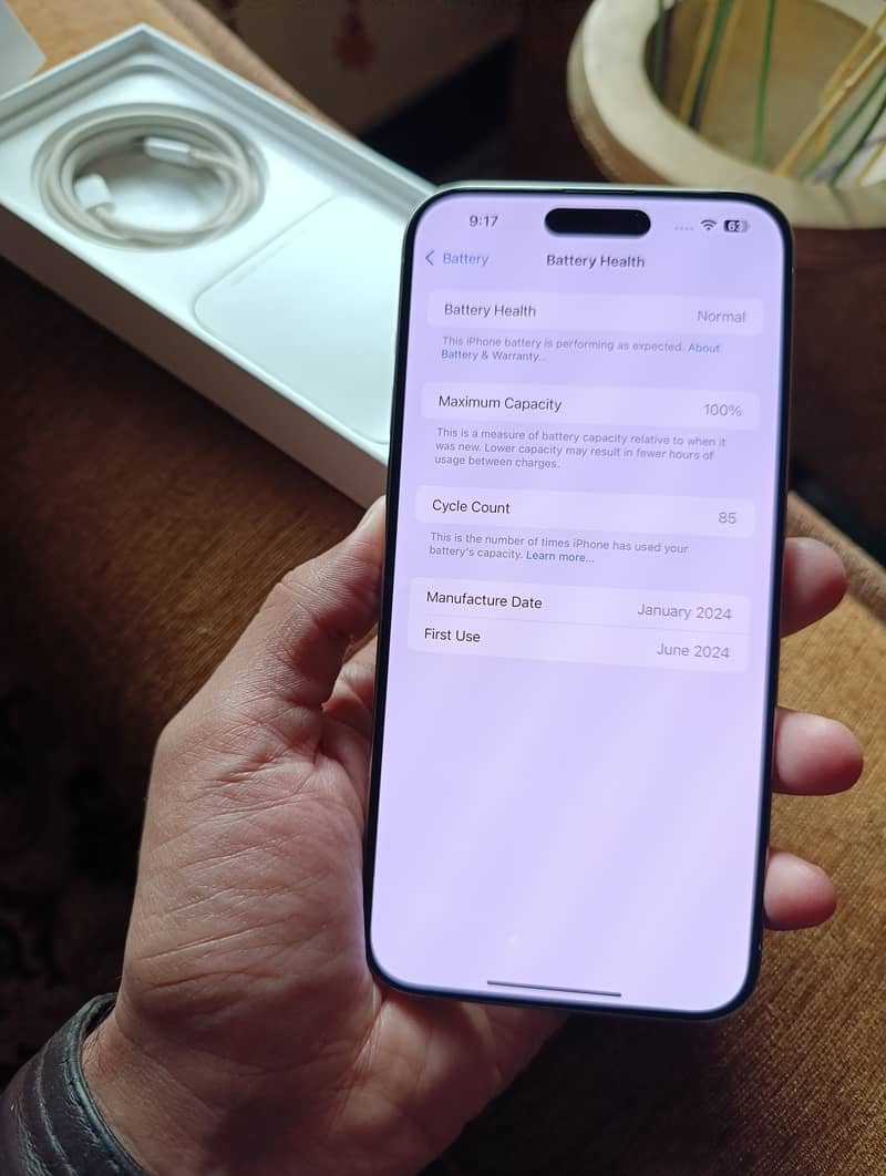 Apple iPhone 15 Pro Max 100 health 5
