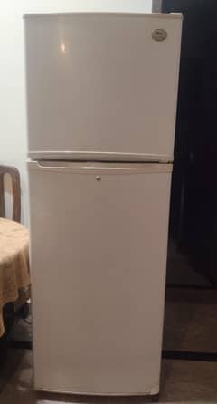 LG Fridge - No Frost