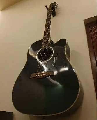 Acoustic Guitar proffessional 0