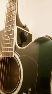 Acoustic Guitar proffessional 3