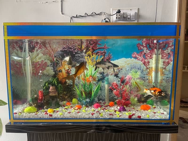 Aquarium with stand for sale 2