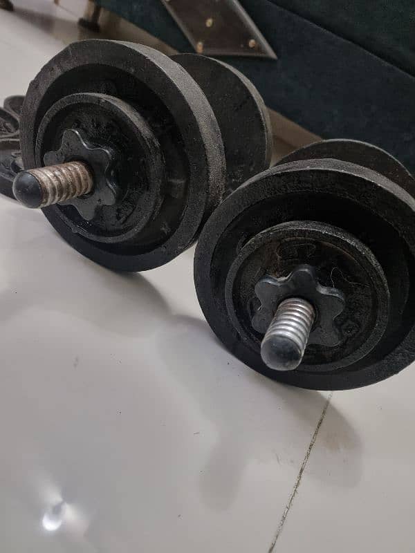 Dumbells for Sale 1