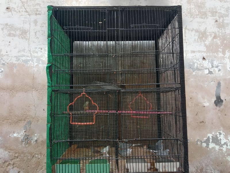 10 Portion Cage 2