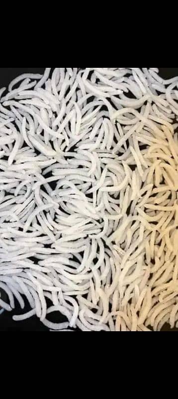 1121 rice Chawal Lamba khusbudar  zaikadar alla quality export quality 2