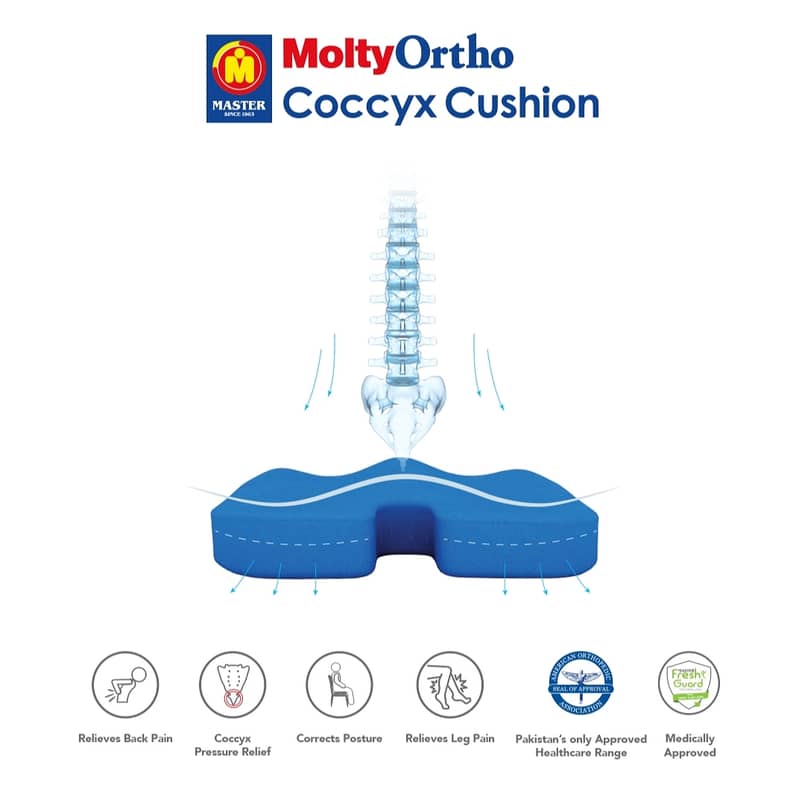 Moltyfoam Coccyx Cushion. 3