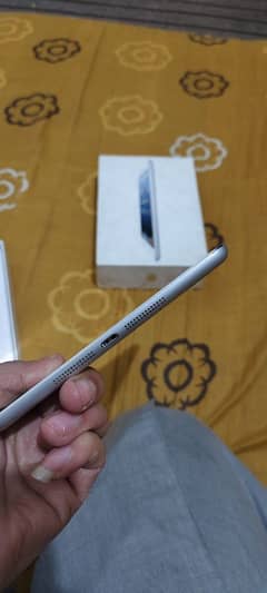 Apple iPad