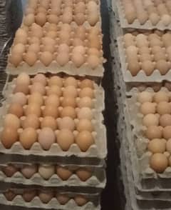 Desi Eggs for sell