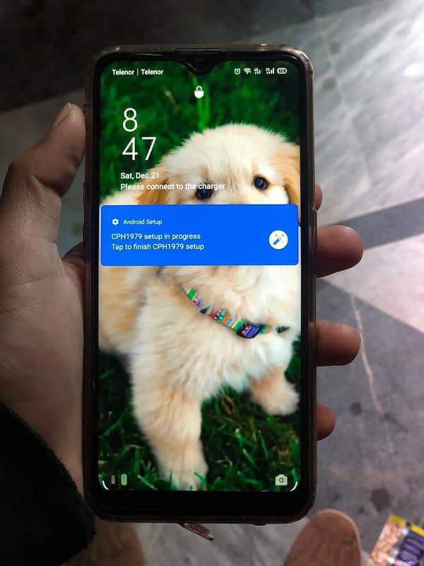 oppo reno z urjent 1