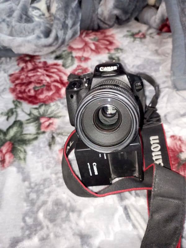 canon 600D with 75×300 Lense 7