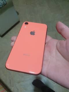 iphone xr 64gb