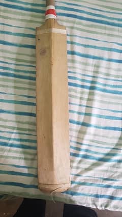 hardball bat for sale