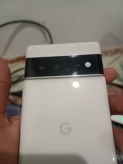 pixel 6 pro dual approve