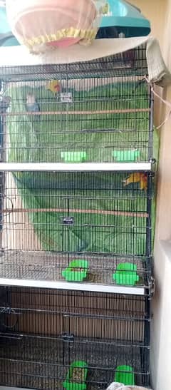 cage 4 portion for sale