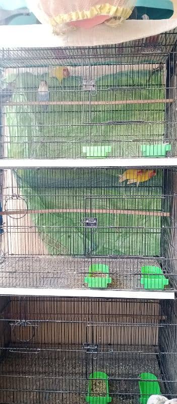 cage 4 portion for sale 1