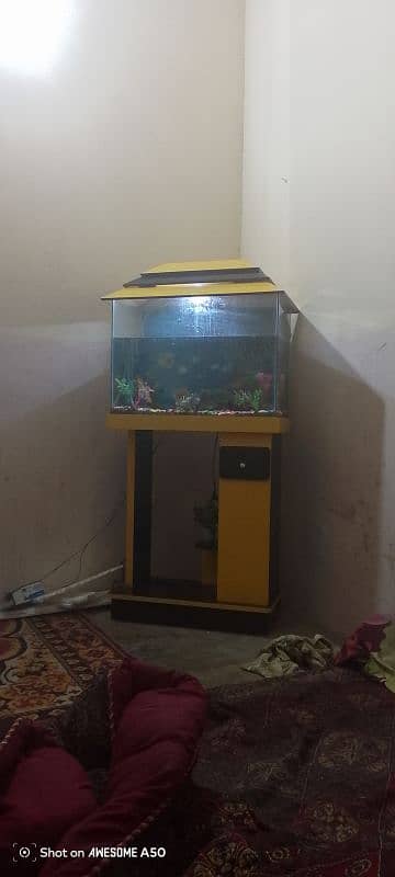 aquarium 3