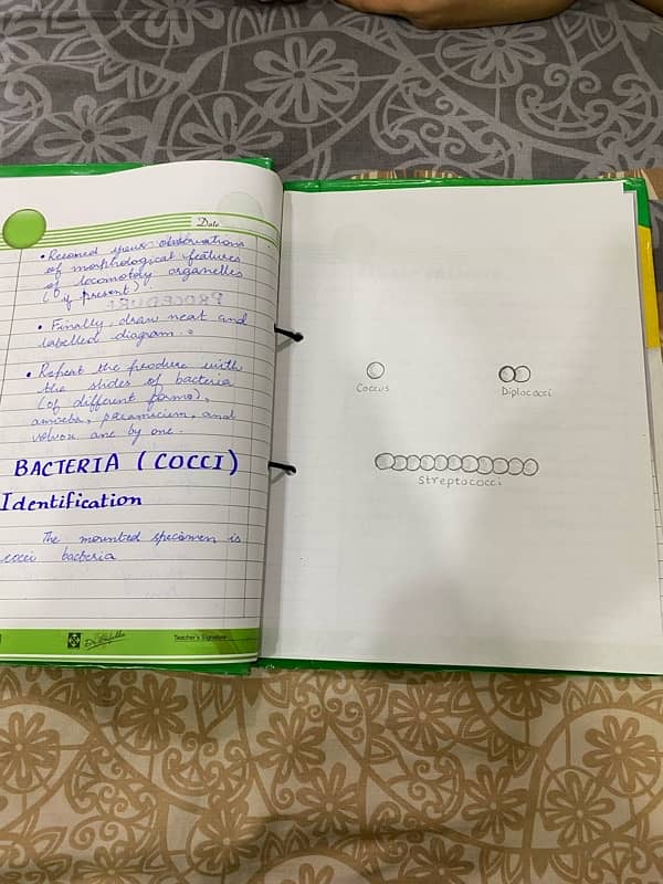 9th biology practical notebook solved 1