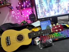 Ukulele with All Accessories for Sale