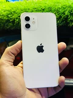 iPhone 12 128 gb Factory Unlock