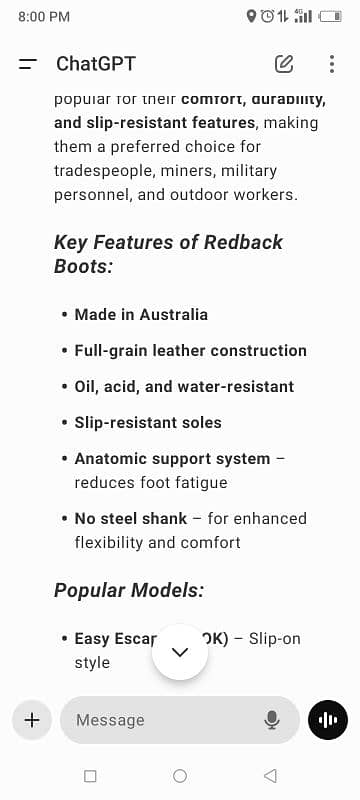 REDBACK AUSTRALIAN BRANDED SHOES BEST FOR ROUGH AND TOUGH USE 1