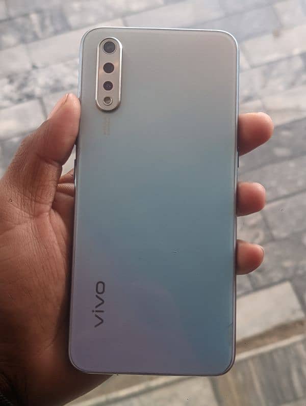 vivo s1 phalia 3