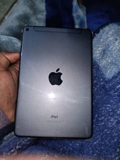 iPad mini 5 10 by 10 condition not any single issue