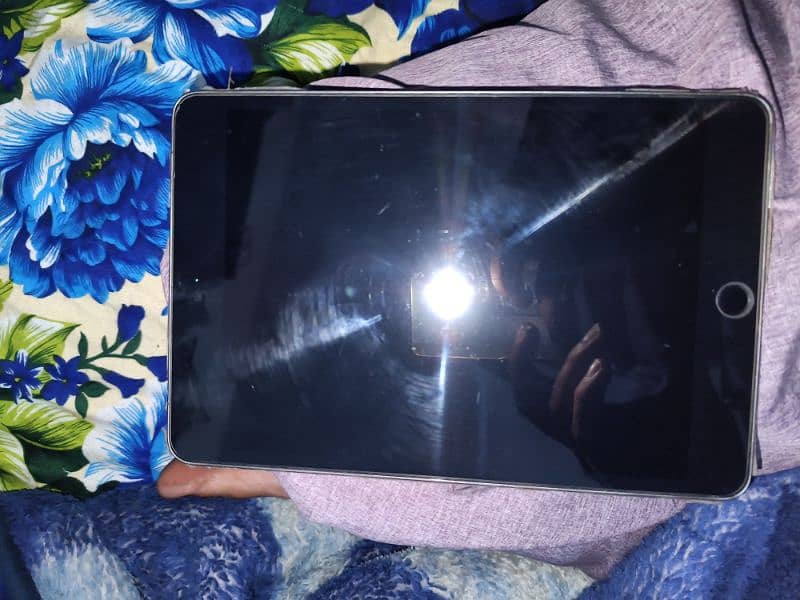 iPad mini 5 10 by 10 condition not any single issue 2