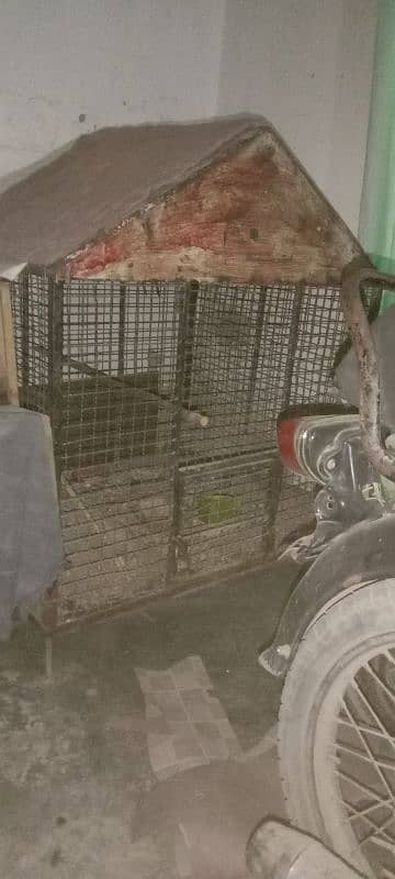 heavy cage for chicken or parrots 2