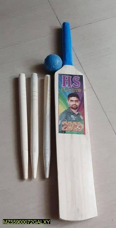 Cricket kit for kids 2