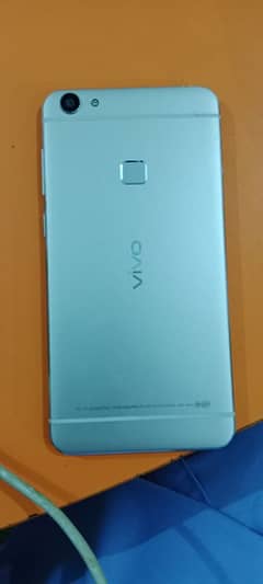 vivo