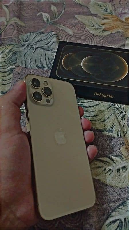 Iphone 12 Pro Max 1