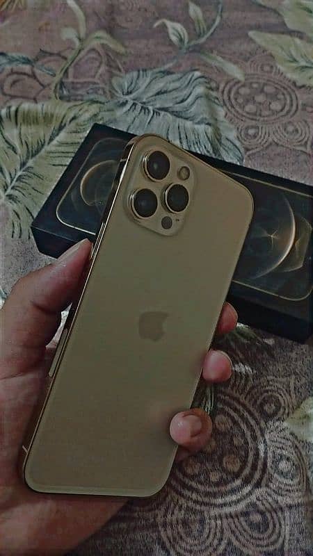 Iphone 12 Pro Max 2