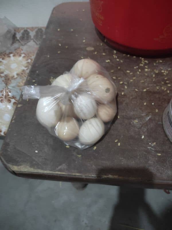 Desi Anda Desi Golden Misri Eggs Desi Fertil Eggs Desi Murgi hen Kukri 2