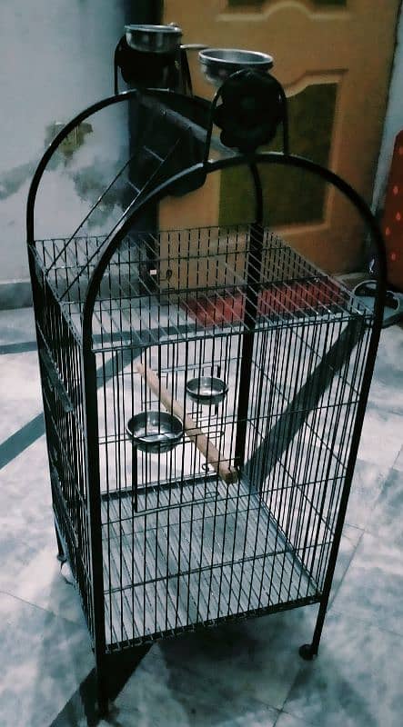 Parrot Cage for Raw. African Grey. Macaw. Ring Neck 4