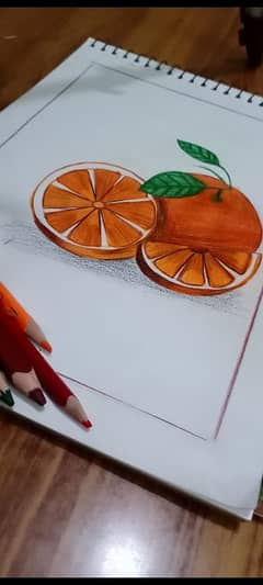 pencil sketching of oranges