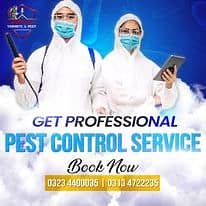 Pest Control/Termite Control/Fumigation Spray/Deemak Control Service