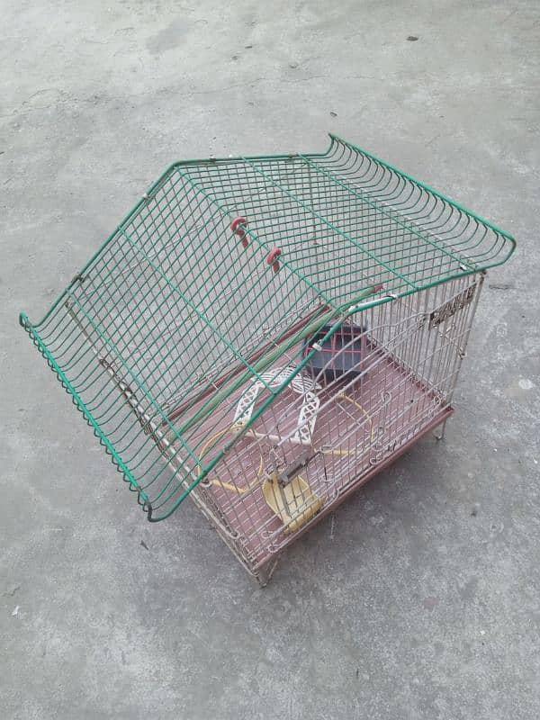 birds cage 2