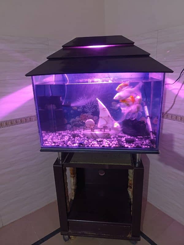 Fish Aquarium complete setup 3